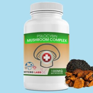 Chaga mushroom micro dose capsules